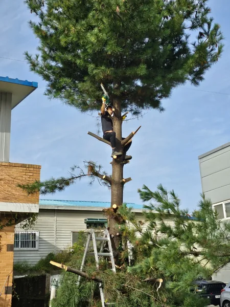 가곡면 해체 이미지